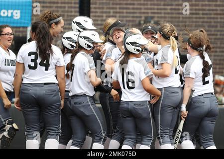 LIU Brooklyn Team